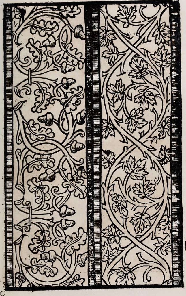 An illustration from Patrons de broderie et de lingerie du XVIe siècle, 1872, leaf 36