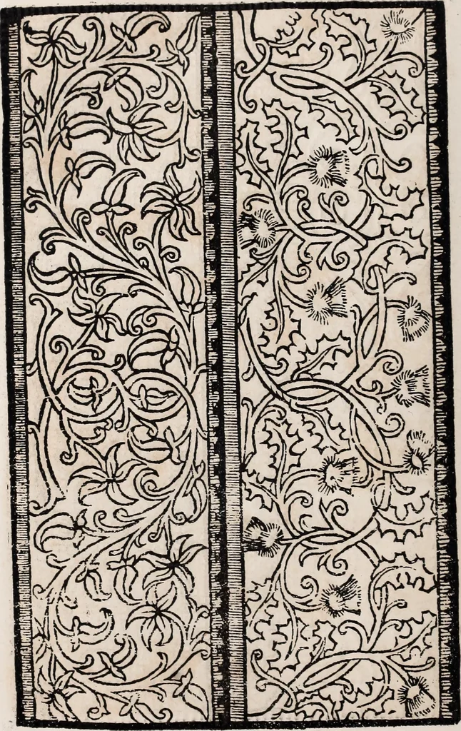 An illustration from Patrons de broderie et de lingerie du XVIe siècle, 1872, leaf 43