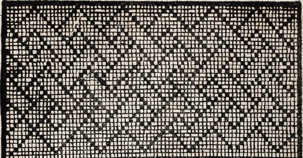 An illustration from Patrons de broderie et de lingerie du XVIe siècle, 1872, leaf 77