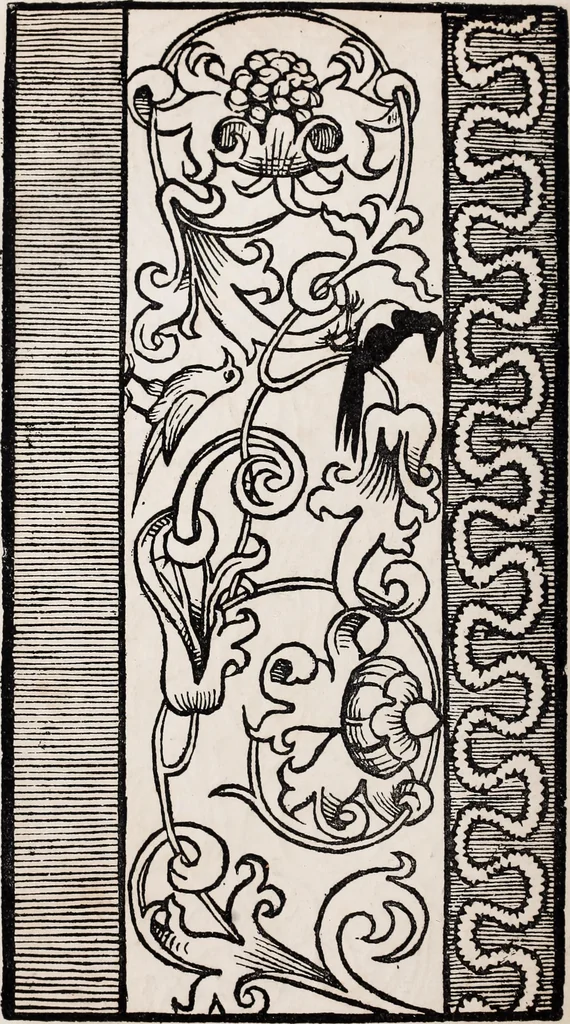 An illustration from Patrons de broderie et de lingerie du XVIe siècle, 1872, leaf 97