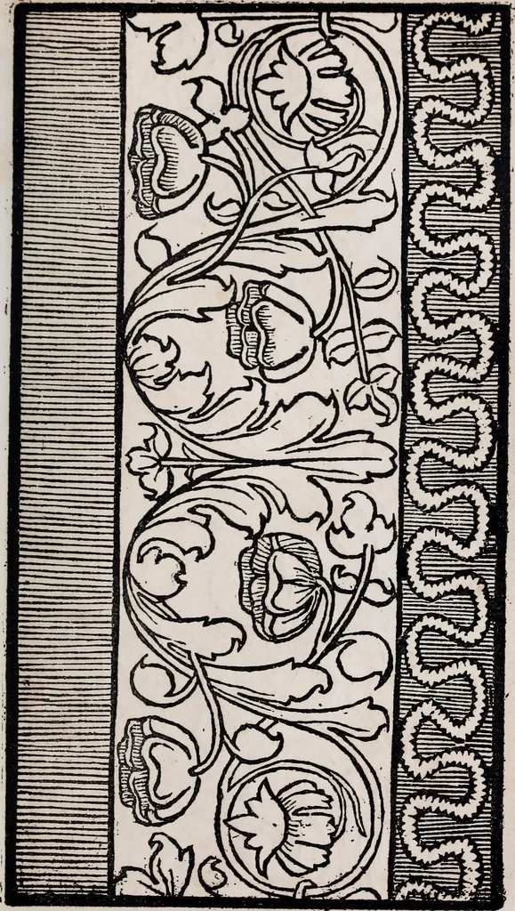 An illustration from Patrons de broderie et de lingerie du XVIe siècle, 1872, leaf 98