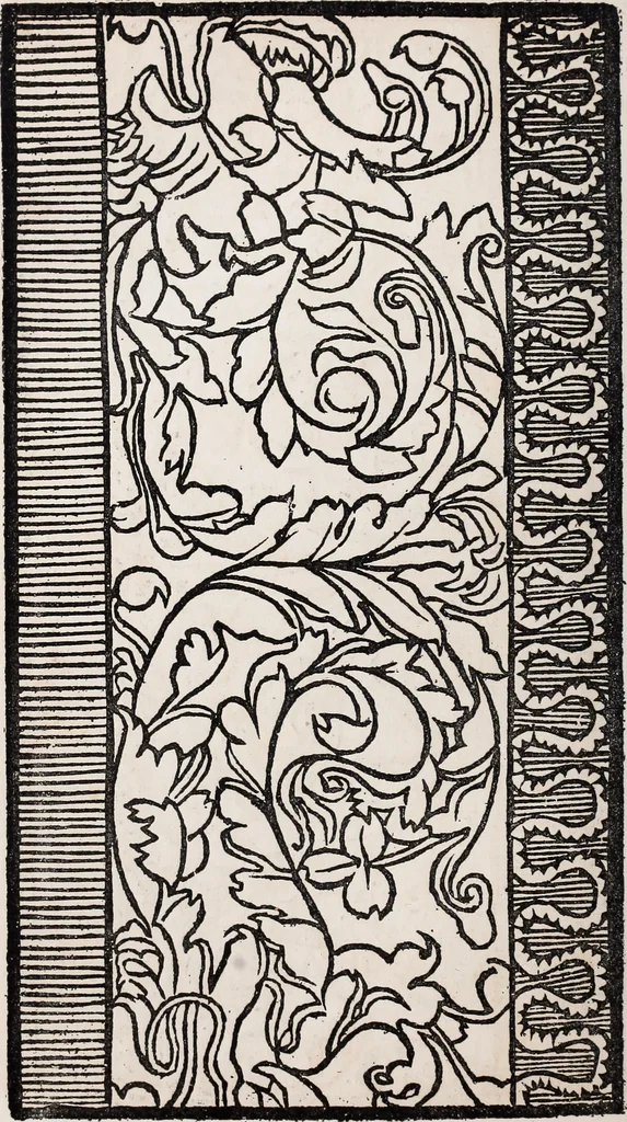 An illustration from Patrons de broderie et de lingerie du XVIe siècle, 1872, leaf 99
