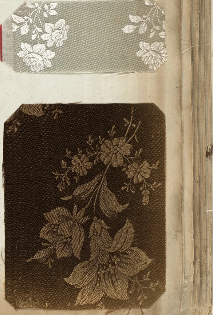 An illustration from Pattern book of silks and damasks, 1700, leaf 46