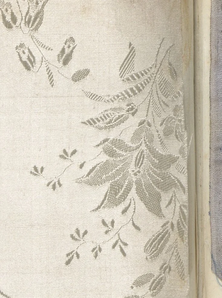 An illustration from Pattern book of silks and damasks, 1700, leaf 87
