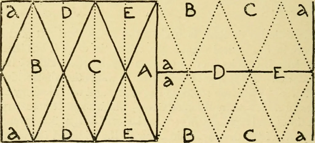 An illustration from Pattern design : a book for students treating in a practical way of the anatomy, planning & evolution of repeated ornament, 1915, leaf 107