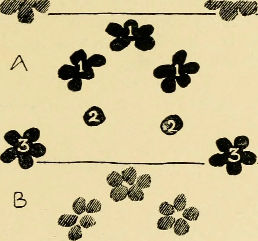 An illustration from Pattern design : a book for students treating in a practical way of the anatomy, planning & evolution of repeated ornament, 1915, leaf 204