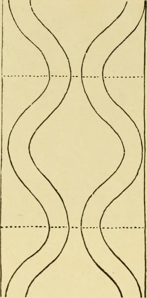 An illustration from Pattern design : a book for students treating in a practical way of the anatomy, planning & evolution of repeated ornament, 1915, leaf 209