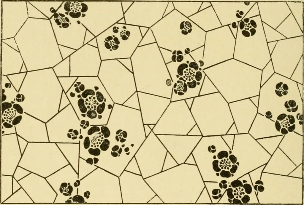 An illustration from Pattern design : a book for students treating in a practical way of the anatomy, planning & evolution of repeated ornament, 1915, leaf 29