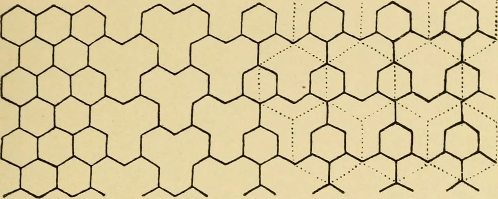 An illustration from Pattern design : a book for students treating in a practical way of the anatomy, planning & evolution of repeated ornament, 1915, leaf 46