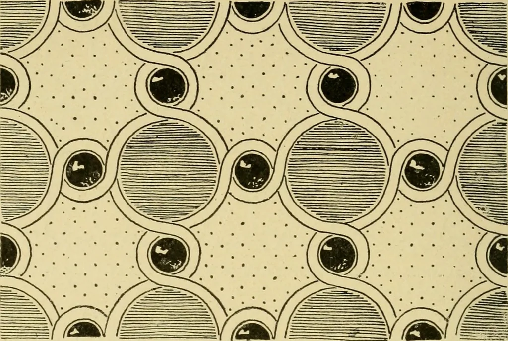 An illustration from Pattern design : a book for students treating in a practical way of the anatomy, planning & evolution of repeated ornament, 1915, leaf 57