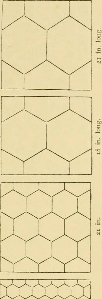 An illustration from Pattern design : a book for students treating in a practical way of the anatomy, planning & evolution of repeated ornament, 1915, leaf 82