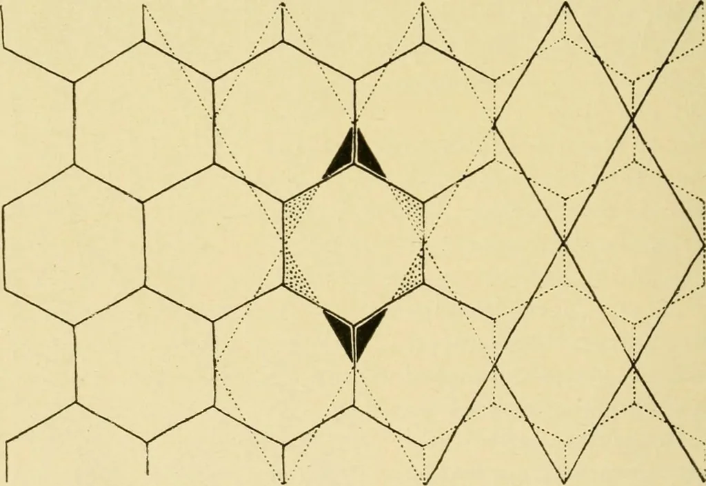 An illustration from Pattern design : a book for students treating in a practical way of the anatomy, planning & evolution of repeated ornament, 1915, leaf 97