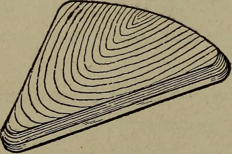 An illustration from Pattern making; a practical treatise for the pattern maker on wood-working and wood turning, tools and equipment, construction of simple and complicated patterns, modern molding machines and molding practice, 1916, leaf 119