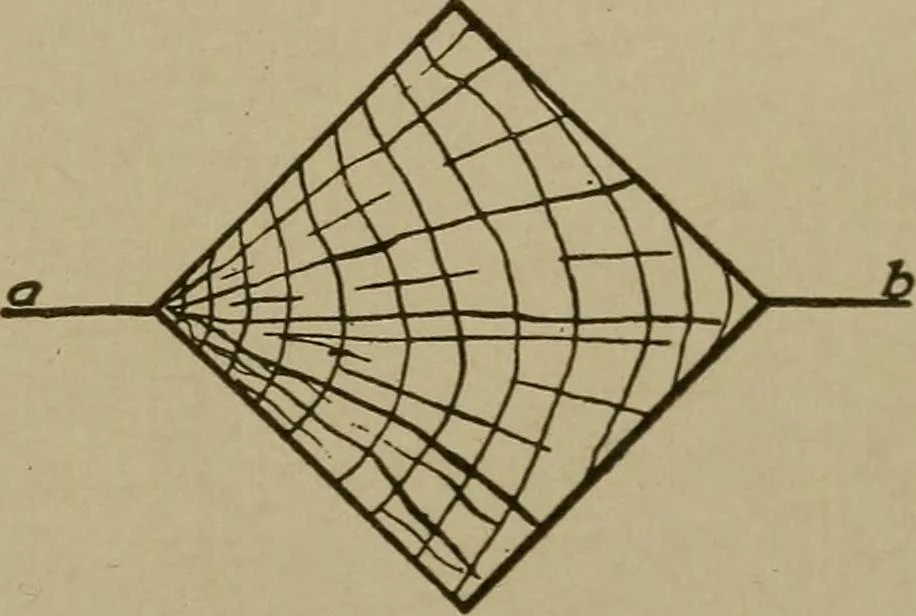An illustration from Pattern making; a practical treatise for the pattern maker on wood-working and wood turning, tools and equipment, construction of simple and complicated patterns, modern molding machines and molding practice, 1916, leaf 80