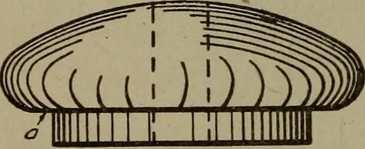 An illustration from Pattern making; a practical treatise for the pattern maker on wood-working and wood turning, tools and equipment, construction of simple and complicated patterns, modern molding machines and molding practice, 1916, leaf 91