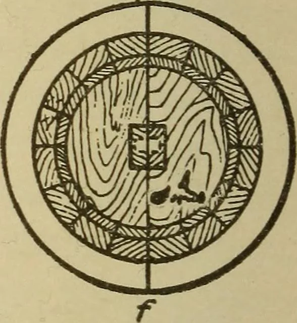 An illustration from Pattern making; a practical treatise for the pattern maker on wood-working and wood turning, tools and equipment, construction of simple and complicated patterns, modern molding machines and molding practice, 1921, leaf 153