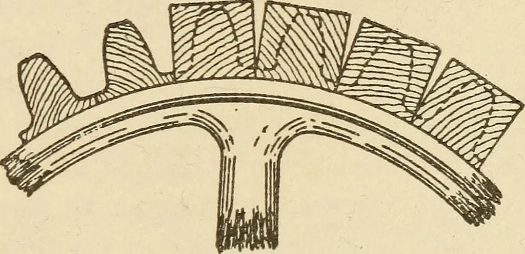 An illustration from Pattern making; a practical treatise for the pattern maker on wood-working and wood turning, tools and equipment, construction of simple and complicated patterns, modern molding machines and molding practice, 1921, leaf 160
