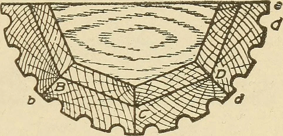An illustration from Pattern making; a practical treatise for the pattern maker on wood-working and wood turning, tools and equipment, construction of simple and complicated patterns, modern molding machines and molding practice, 1921, leaf 168