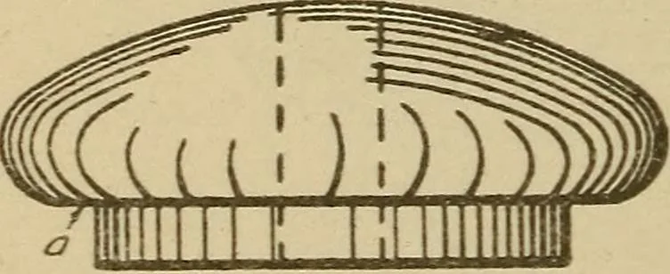 An illustration from Pattern making; a practical treatise for the pattern maker on wood-working and wood turning, tools and equipment, construction of simple and complicated patterns, modern molding machines and molding practice, 1921, leaf 91