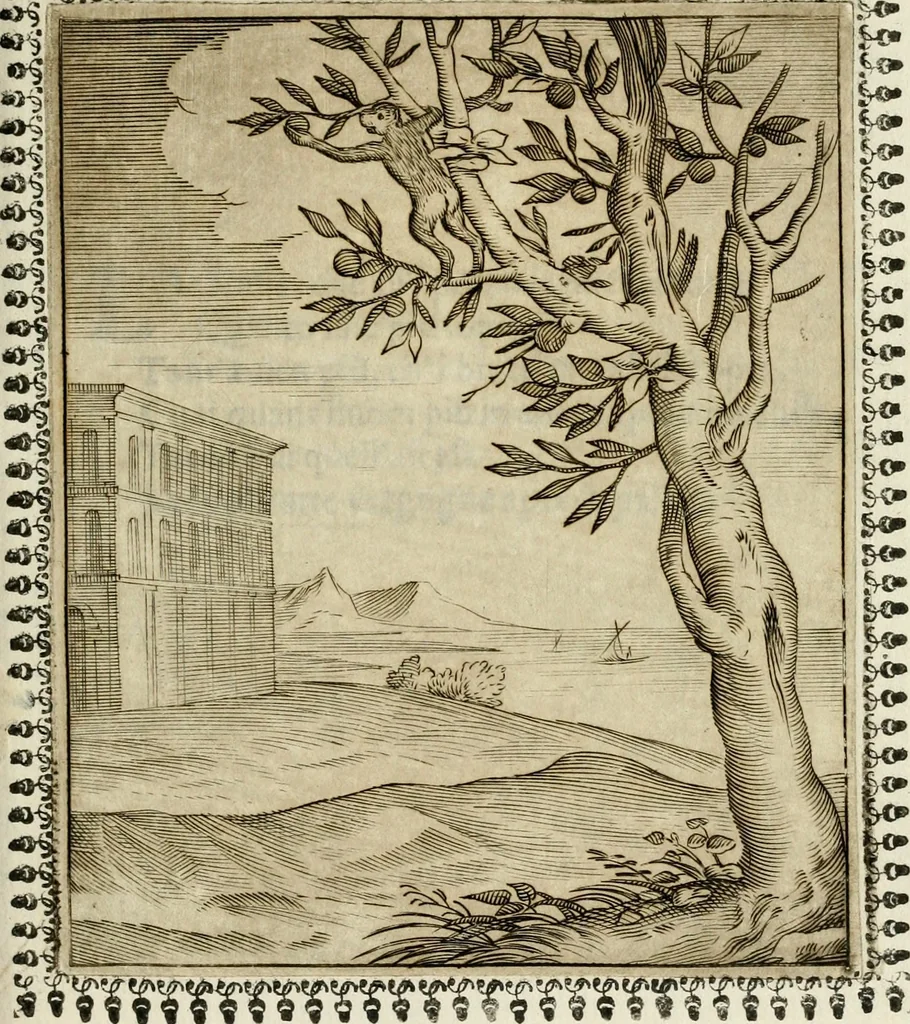 An illustration from Pauli Maccii Emblemata, 1628, leaf 100