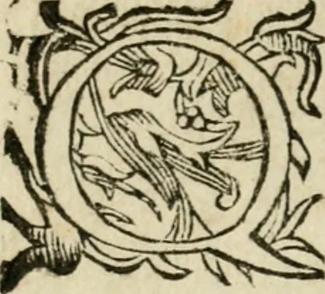 An illustration from Pauli Maccii Emblemata, 1628, leaf 11
