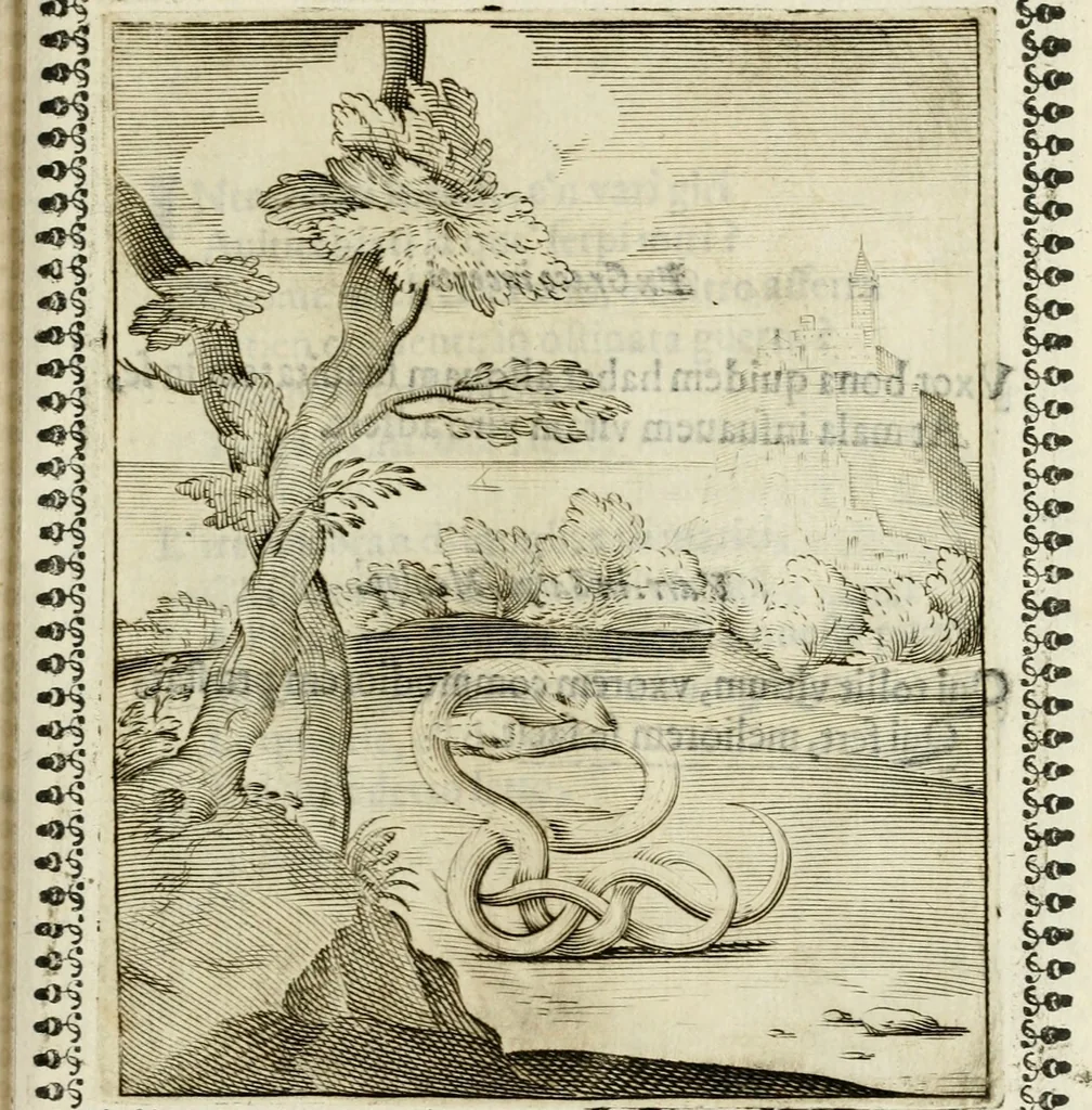 An illustration from Pauli Maccii Emblemata, 1628, leaf 128
