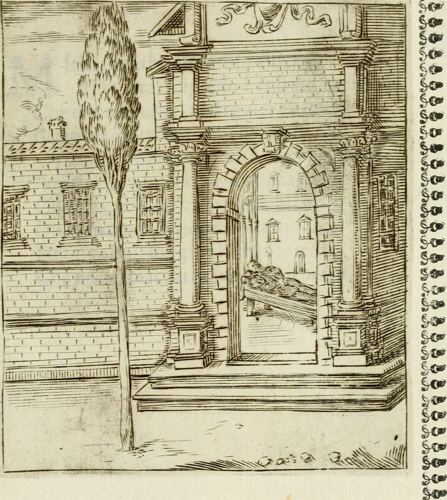 An illustration from Pauli Maccii Emblemata, 1628, leaf 156