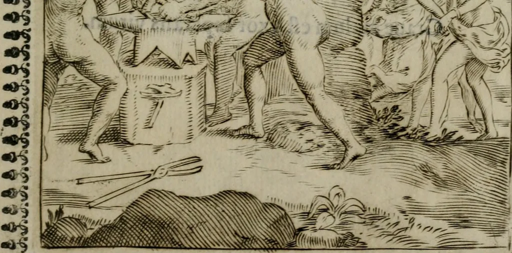 An illustration from Pauli Maccii Emblemata, 1628, leaf 122