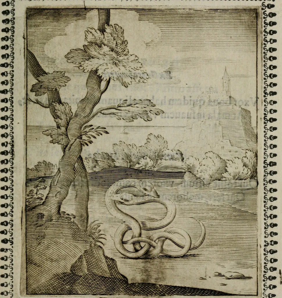 An illustration from Pauli Maccii Emblemata, 1628, leaf 126