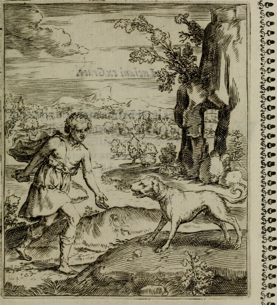 An illustration from Pauli Maccii Emblemata, 1628, leaf 206