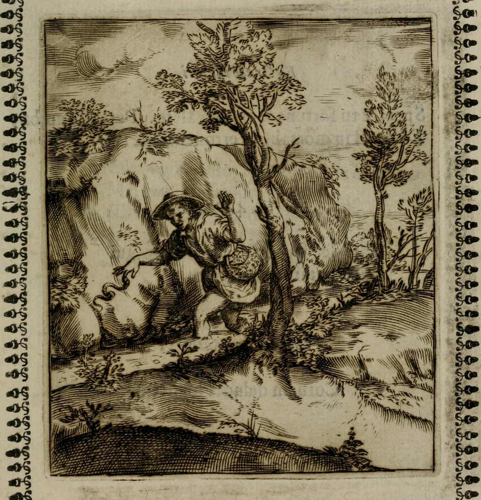 An illustration from Pauli Maccii Emblemata, 1628, leaf 322