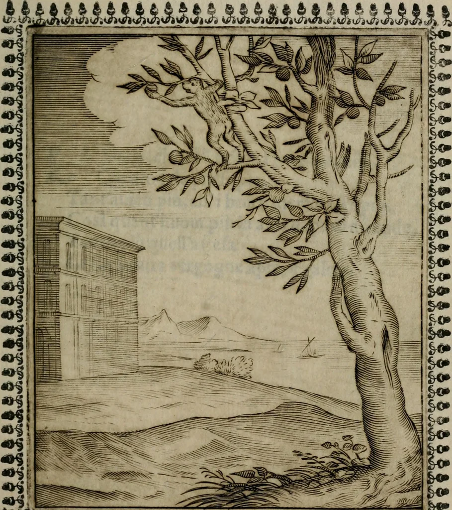 An illustration from Pauli Maccii Emblemata, 1628, leaf 98