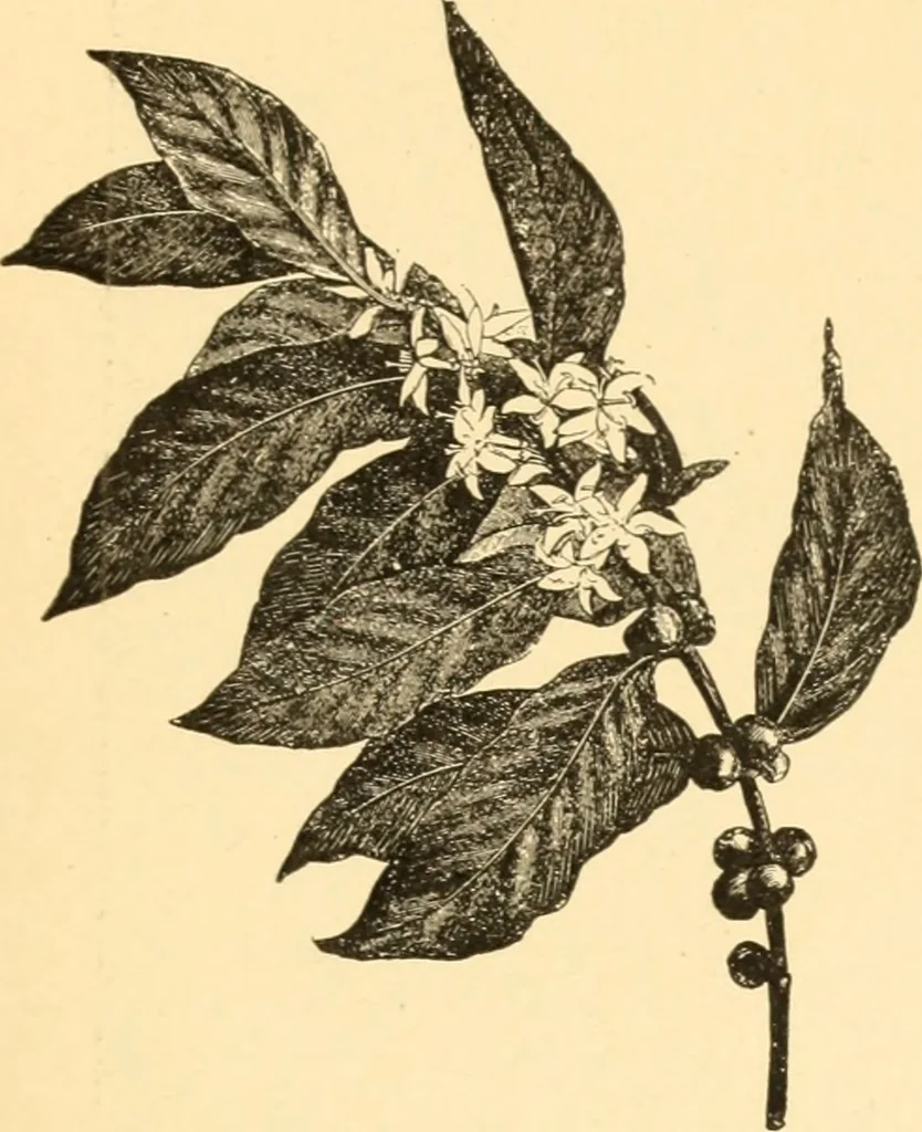 An illustration from The Paul Revere album : containing a complete description of Goss' "Life of Col. Paul Revere," and more than twenty engravings with descriptions of incidents in the life of the hero of the "Midnight ride," April 18, 1775, 1904, leaf 38