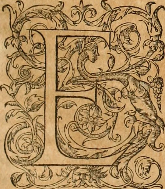 An illustration from Pausaniæ accurata Graeciae descriptio : qua lector ceu manu per eam regionem circumducitur: a Guilielmo Xylandro Augustano diligenter recognita, & ab innumeris mendis repurgata. Accesserunt annotationes, quæ a G. Xylandro paulo ante obitum inchoatæ, nunc vero a Frid. Sylb. continuatæ ... addita etiam doctissima Romuli Amasæi versio .., 1583, leaf 192