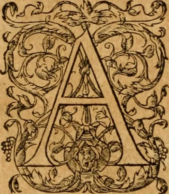 An illustration from Pausaniæ accurata Graeciae descriptio : qua lector ceu manu per eam regionem circumducitur: a Guilielmo Xylandro Augustano diligenter recognita, & ab innumeris mendis repurgata. Accesserunt annotationes, quæ a G. Xylandro paulo ante obitum inchoatæ, nunc vero a Frid. Sylb. continuatæ ... addita etiam doctissima Romuli Amasæi versio .., 1583, leaf 251