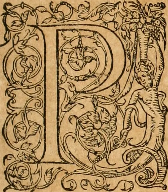An illustration from Pausaniæ accurata Graeciae descriptio : qua lector ceu manu per eam regionem circumducitur: a Guilielmo Xylandro Augustano diligenter recognita, & ab innumeris mendis repurgata. Accesserunt annotationes, quæ a G. Xylandro paulo ante obitum inchoatæ, nunc vero a Frid. Sylb. continuatæ ... addita etiam doctissima Romuli Amasæi versio .., 1583, leaf 530