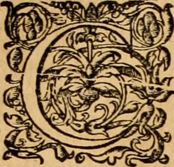 An illustration from Pausaniæ accurata Graeciae descriptio : qua lector ceu manu per eam regionem circumducitur: a Guilielmo Xylandro Augustano diligenter recognita, & ab innumeris mendis repurgata. Accesserunt annotationes, quæ a G. Xylandro paulo ante obitum inchoatæ, nunc vero a Frid. Sylb. continuatæ ... addita etiam doctissima Romuli Amasæi versio .., 1583, leaf 533