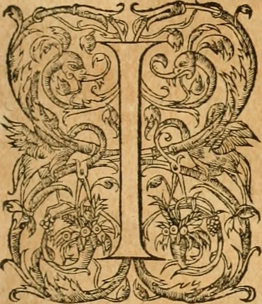 An illustration from Pausaniæ accurata Graeciae descriptio : qua lector ceu manu per eam regionem circumducitur: a Guilielmo Xylandro Augustano diligenter recognita, & ab innumeris mendis repurgata. Accesserunt annotationes, quæ a G. Xylandro paulo ante obitum inchoatæ, nunc vero a Frid. Sylb. continuatæ ... addita etiam doctissima Romuli Amasæi versio .., 1583, leaf 540