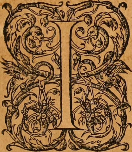 An illustration from Pausaniæ accurata Graeciae descriptio : qua lector ceu manu per eam regionem circumducitur: a Guilielmo Xylandro Augustano diligenter recognita, & ab innumeris mendis repurgata. Accesserunt annotationes, quæ a G. Xylandro paulo ante obitum inchoatæ, nunc vero a Frid. Sylb. continuatæ ... addita etiam doctissima Romuli Amasæi versio .., 1583, leaf 6