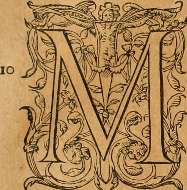 An illustration from Pausaniæ accurata Graeciae descriptio : qua lector ceu manu per eam regionem circumducitur: a Guilielmo Xylandro Augustano diligenter recognita, & ab innumeris mendis repurgata. Accesserunt annotationes, quæ a G. Xylandro paulo ante obitum inchoatæ, nunc vero a Frid. Sylb. continuatæ ... addita etiam doctissima Romuli Amasæi versio .., 1583, leaf 96