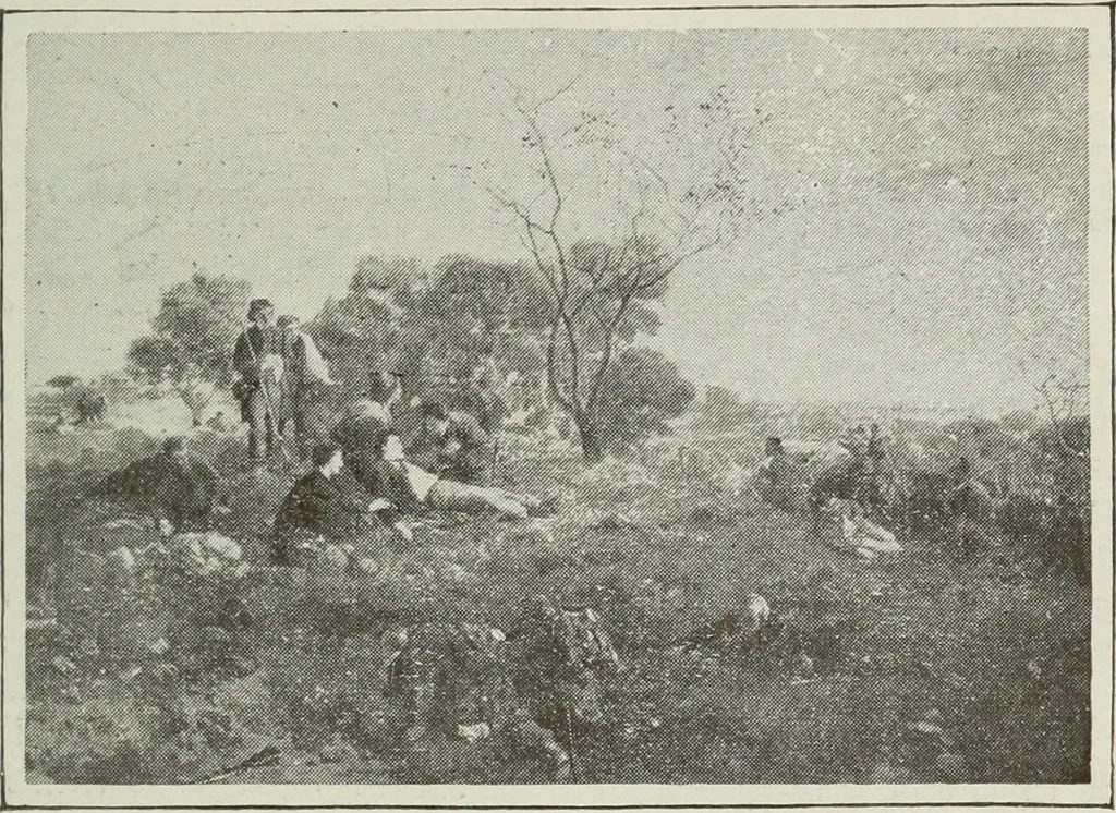 An illustration from Pavia e la sua certosa : guida artistica, 1911, leaf 122