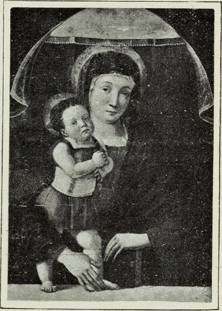 An illustration from Pavia e la sua certosa : guida artistica, 1911, leaf 148