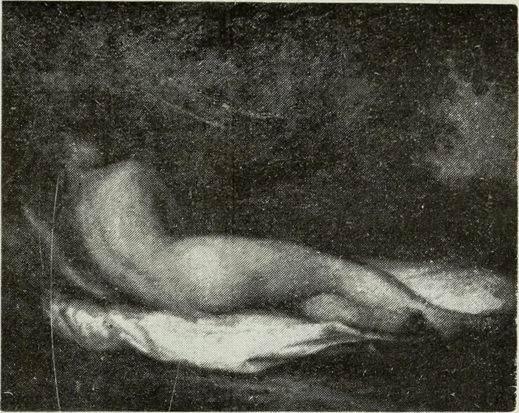 An illustration from Pavia e la sua certosa : guida artistica, 1911, leaf 154