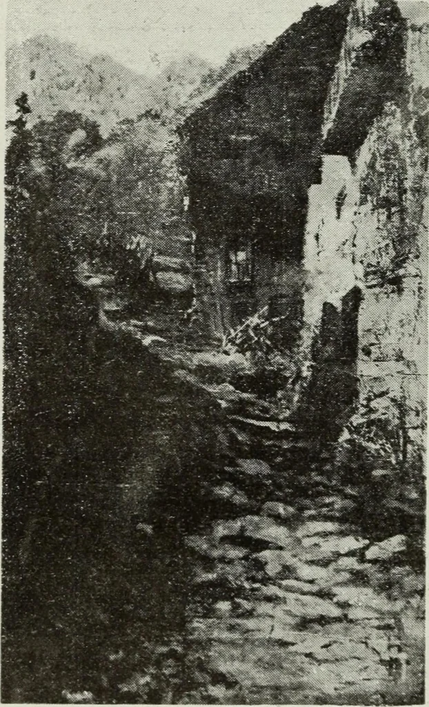 An illustration from Pavia e la sua certosa : guida artistica, 1911, leaf 155