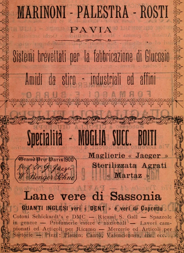 An illustration from Pavia e la sua certosa : guida artistica, 1911, leaf 188