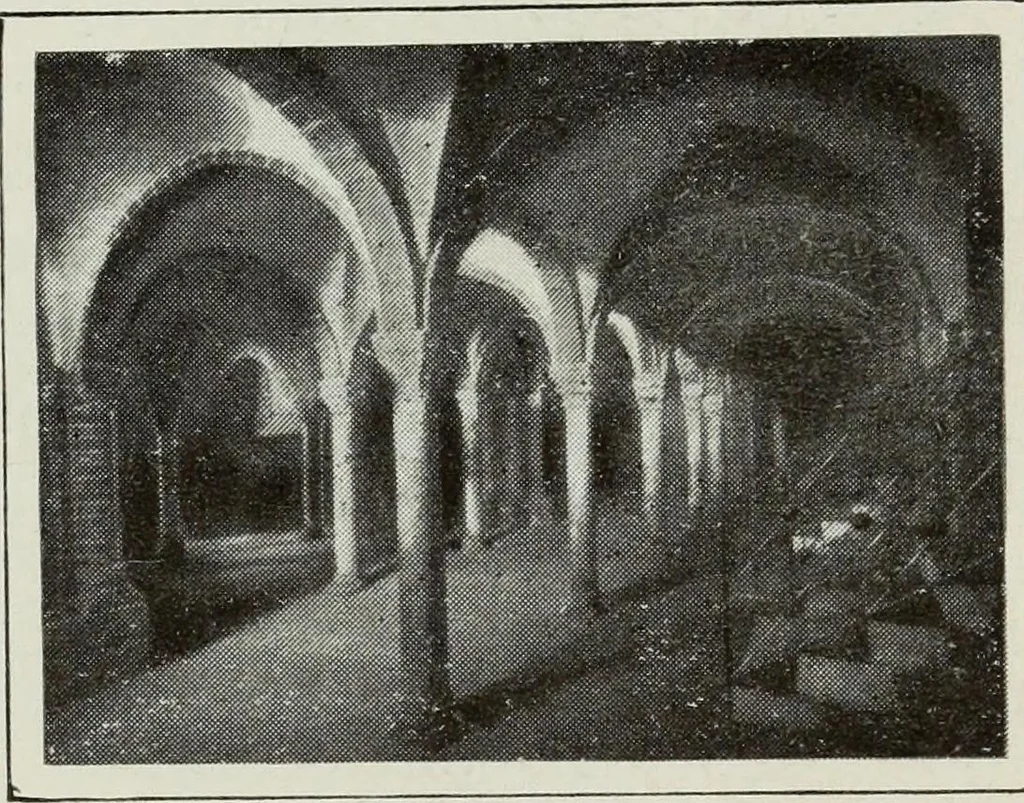 An illustration from Pavia e la sua certosa : guida artistica, 1911, leaf 42