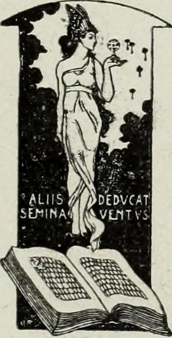 An illustration from Pavia e la sua certosa : guida artistica, 1911, leaf 6
