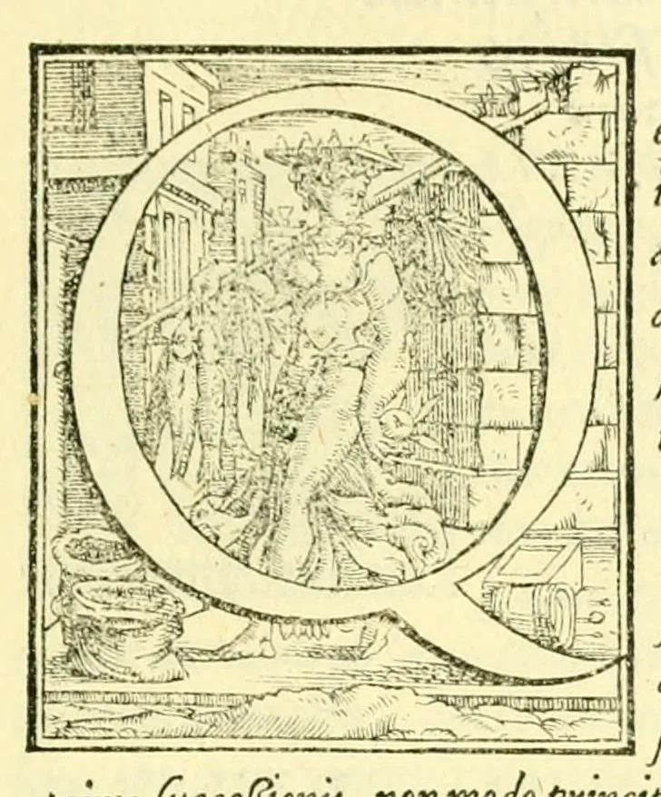 An illustration from Pavli Iovii novocomensis Episcopi nucerini de vita Leonis Decimi Pont. Max. Libri Quatuor : his ordine temporum acce[ss]erunt Hadriani Sexti Pont. Max, 1551, leaf 11