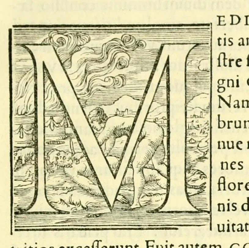 An illustration from Pavli Iovii novocomensis Episcopi nucerini de vita Leonis Decimi Pont. Max. Libri Quatuor : his ordine temporum acce[ss]erunt Hadriani Sexti Pont. Max, 1551, leaf 17