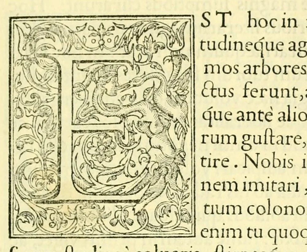 An illustration from Pavli Iovii novocomensis Episcopi nucerini de vita Leonis Decimi Pont. Max. Libri Quatuor : his ordine temporum acce[ss]erunt Hadriani Sexti Pont. Max, 1551, leaf 9